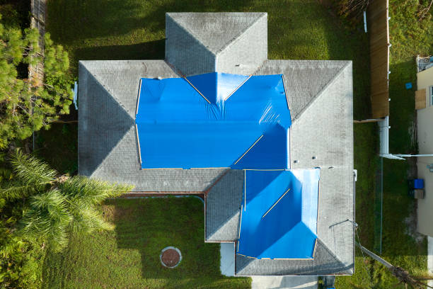 Best Skylight Installation and Repair  in Lam, AR