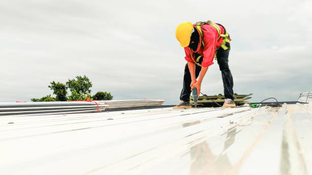 Best Roof Insulation Installation  in Lam, AR