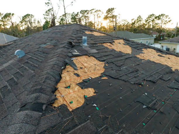 Best Roof Ventilation Installation  in Lam, AR