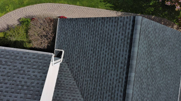 Best Roof Coating and Sealing  in Lam, AR