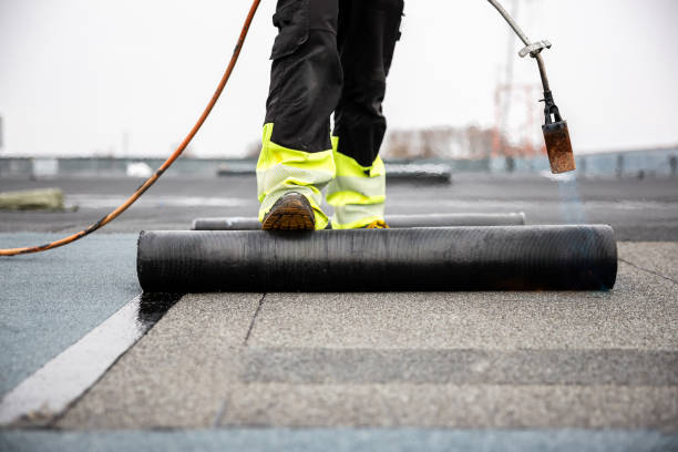 Best Solar Panel Roofing Installation  in Lam, AR