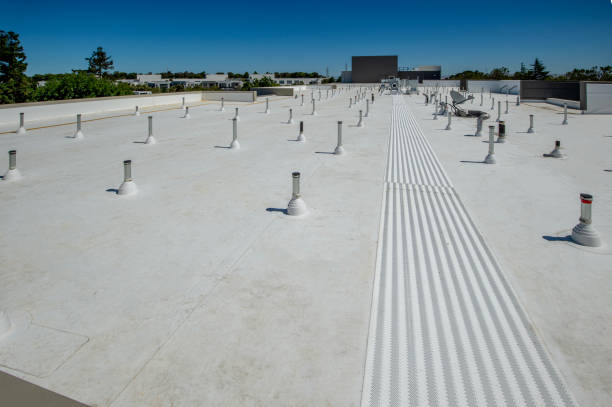 Best Emergency Roof Repair Services  in Lam, AR